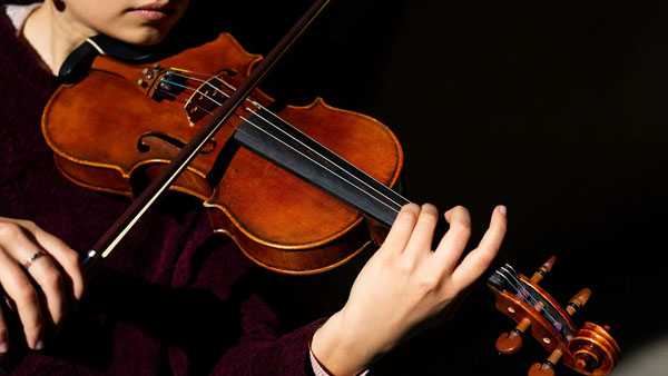 Violino