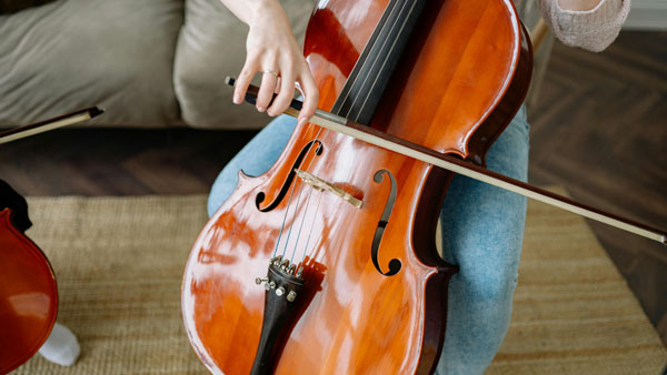 Violoncello